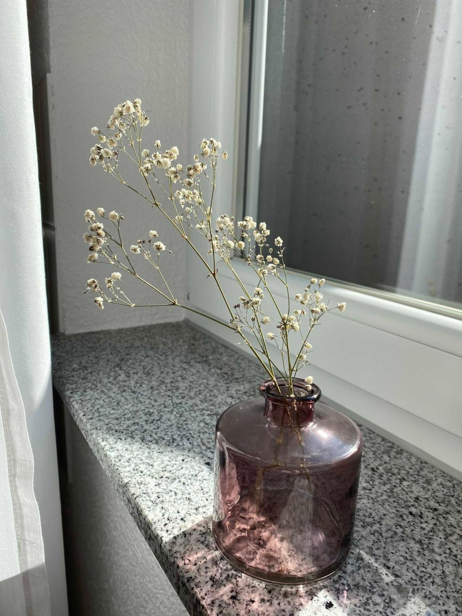 Im Apartment Herbolzheim